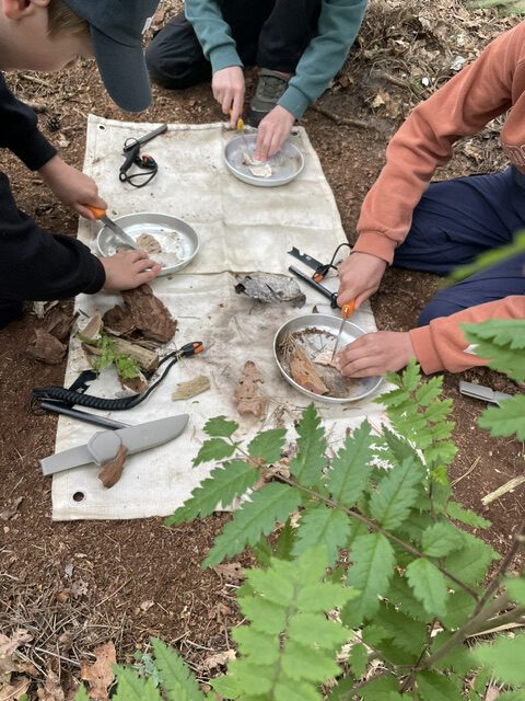 Outdoor-Workshop: Arbeiten mit Naturmaterial und Schnitzwerkzeug – Auf und Abenteuer
